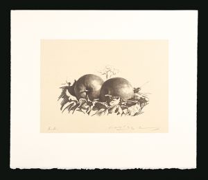 Misu Yuji / Apples (tentative title)