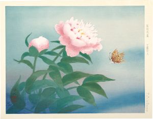 Kudo Kojin / Peony