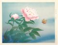 Peony