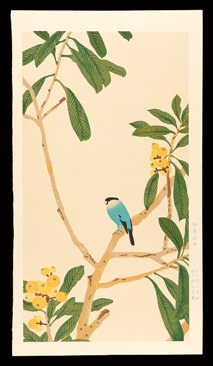 Imamura Shiko “Loquat and Java Sparrow”