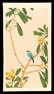 Imamura Shiko / Loquat and Java Sparrow