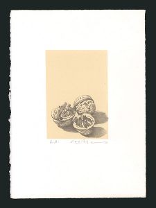 Misu Yuji / Walnuts (tentative title)