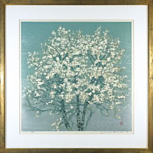 Hoshi Joichi / Magnolia（Kobushi）