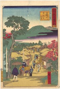The Travel Journal of the Revised Fifty-three Stations of Famous Places in Tokai / No. 41: Fujikawa
