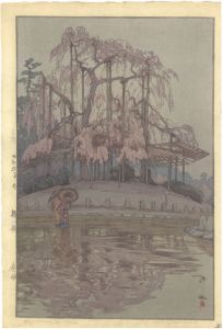 Eight Scenes of Cherry Blossom / Spring Rain