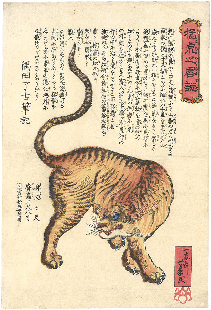 芳幾「猛虎之略説」