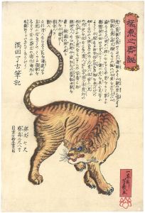 猛虎之略説
