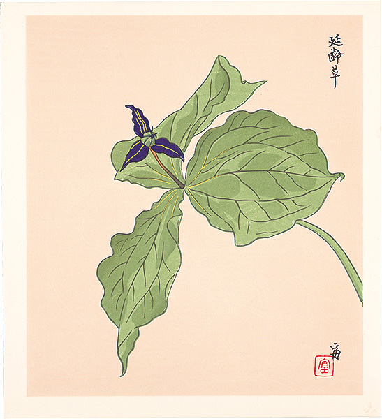 Tokuriki Tomikichiro “Trillium smallii (tentative title)”