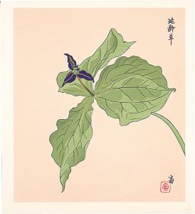 Tokuriki Tomikichiro / Trillium smallii (tentative title)