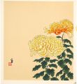 chrysanthemums (tentative titl......