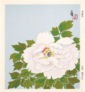 Tokuriki Tomikichiro / A White Camellia (tentative title)