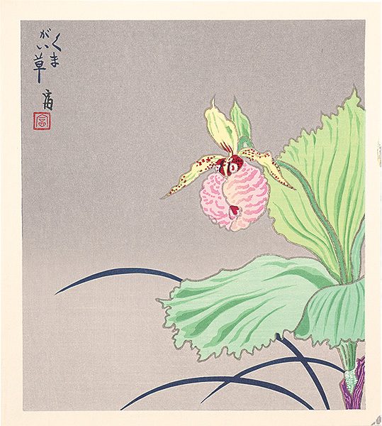 Tokuriki Tomikichiro “A Cypripedium japonicum (tentative title)”