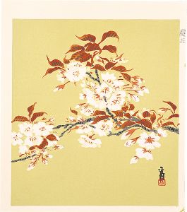 Tokuriki Tomikichiro / A Cherry Blossom (tentative title)