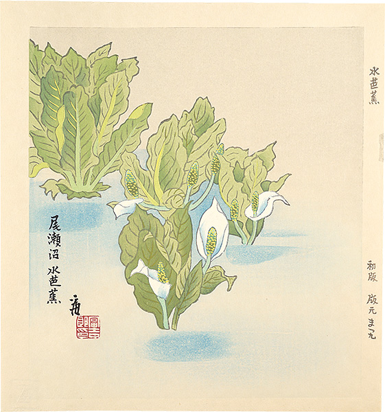 Tokuriki Tomikichiro “skunk cabbages (tentative title)”