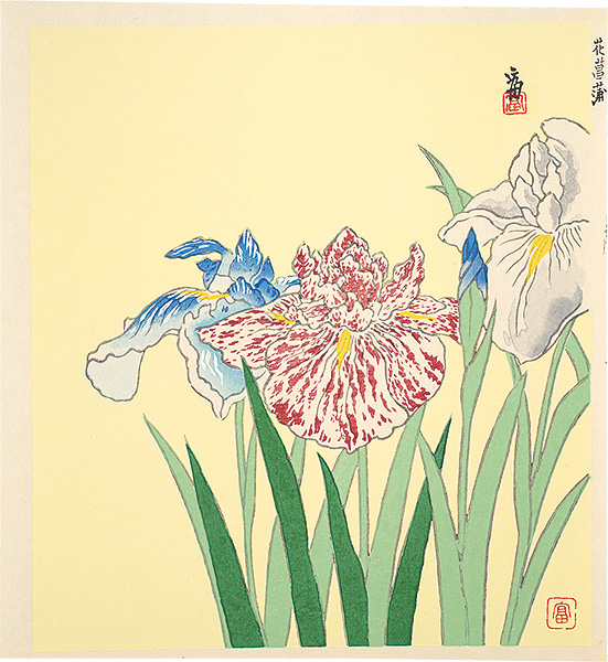 Tokuriki Tomikichiro “Irises (tentative title)”