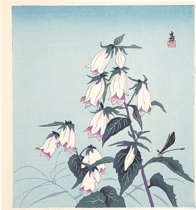 Tokuriki Tomikichiro / Gentians