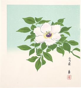 Tokuriki Tomikichiro / Peony