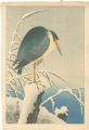Gray Heron