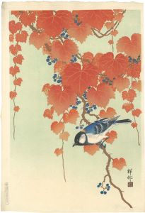 Ohara Koson(Shoson) / Binting on the Ivy