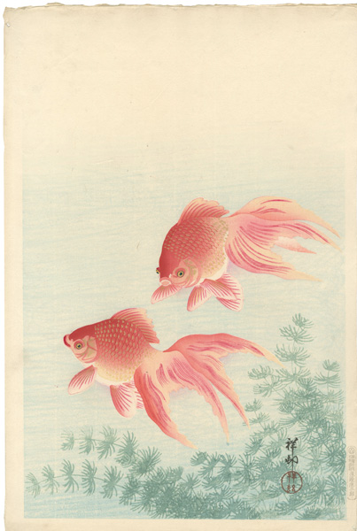 Ohara Koson(Shoson) “Goldfish”