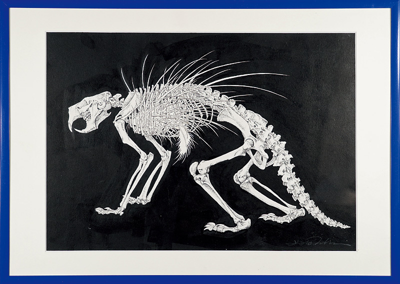 Takeda Hideo “Canadian porcupine(Erethizon dorsatum)”