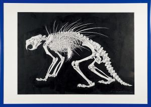 Takeda Hideo / Canadian porcupine(Erethizon dorsatum)