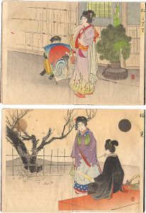 美人風俗十二ヶ月（仮題）