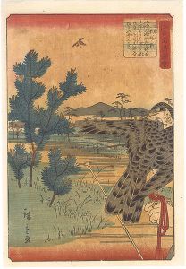 広重二代「江戸名所図会　駒場野」
