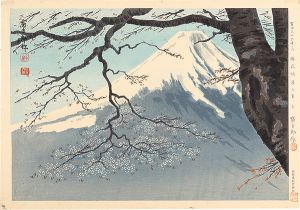 Tokuriki Tomikichiro / Thirty-Six Views of Mt. Fuji / Fuji with Cherry Blossoms in Fill Bloom