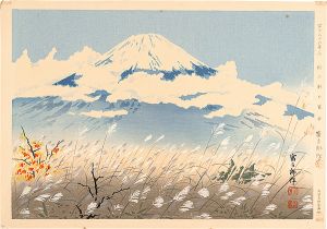 Tokuriki Tomikichiro / Thirty-Six Views of Mt. Fuji / Fuji with Autumn Field