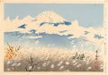 Thirty-Six Views of Mt. Fuji /......