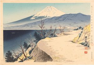 Tokuriki Tomikichiro / 36 Views of Mt. Fuji / Izu Eri Coast