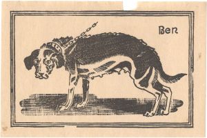 Asada Benji / A Dog