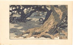 Nakazawa Hiromitsu / Night View of Maikohama
