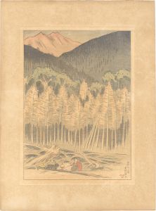 Ishii Tsuruzo / Higashimata Canyon, Upper Tashiro River