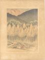 Higashimata Canyon, Upper Tash......