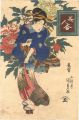Contest of Beauties / Peony