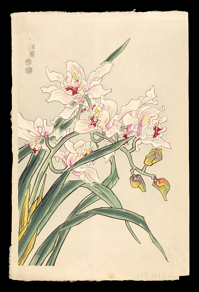 Kotozuka Eiichi “Orchid”