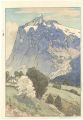The Wetterhorn