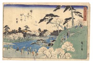 広重初代「江戸名所　深川八幡山開」