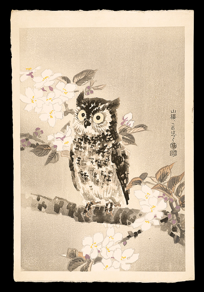 Kotozuka Eiichi “Mountain Cherry Blossom and Japanese Scops Owl”