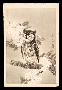 Kotozuka Eiichi / Mountain Cherry Blossom and Japanese Scops Owl