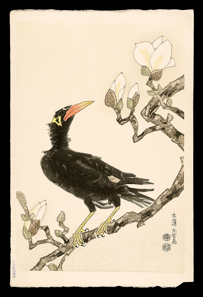Kotozuka Eiichi “Magnolia and Myna Bird”