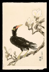 Kotozuka Eiichi / Magnolia and Myna Bird