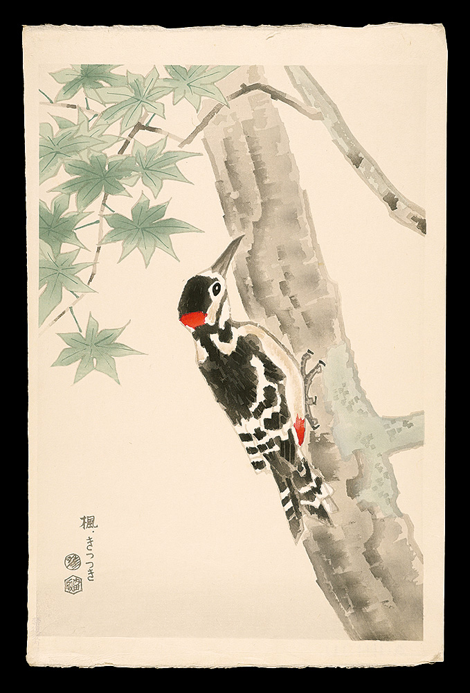 Kotozuka Eiichi “Maple and Woodpecker”
