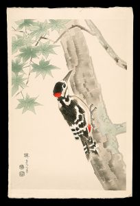 Kotozuka Eiichi / Maple and Woodpecker
