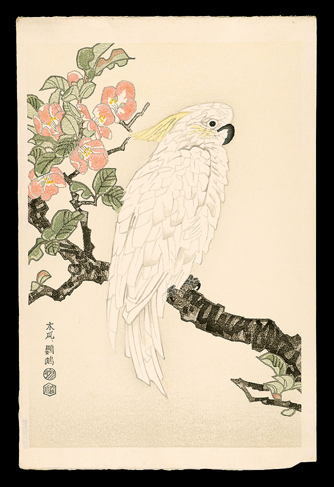Kotozuka Eiichi “Japanese Quince and Parrot”