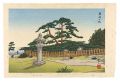 New 8 Views of Omi/ Pine Trees......