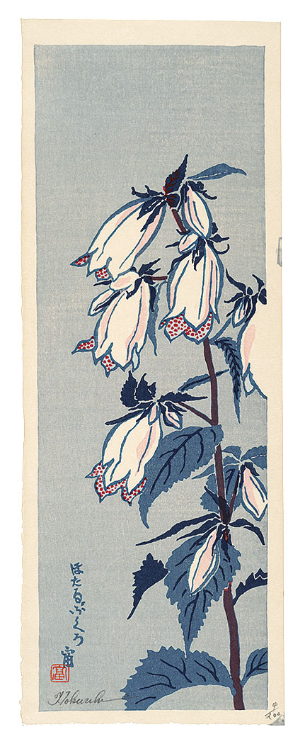 Tokuriki Tomikichiro “Campanula punctata”