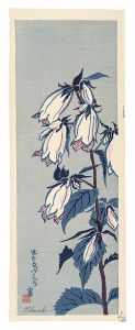 Tokuriki Tomikichiro / Campanula punctata